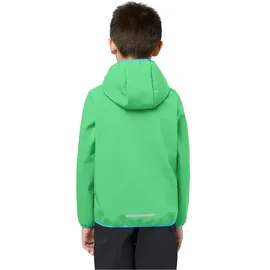 Jack Wolfskin Fourwinds Jacke Lizard 104