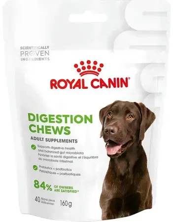 Royal Canin Hund Verdauungsergänzung 6x160g