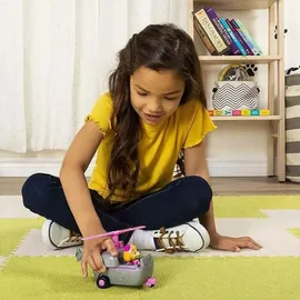 Spin Master PAW Patrol Basic Vehicle Skye