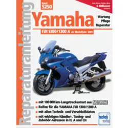 Reparaturhandbuch Old- und Youngtimer