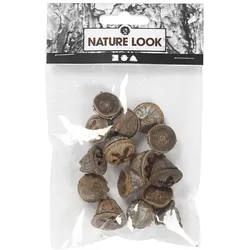 creativ company Deko aus Naturmaterial, Eukalyptus-Frucht 25 g