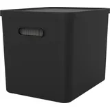 Rotho Archivbox MY PAPER 29,00 x 29,50 x 37,00 cm 1-tlg.