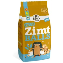 Knusper Zimt Balls BIO