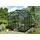 Vitavia Apollo 3800 Alu smaragd grün HKP 4 mm 3,8 m2
