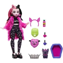 Monster High Puppen-Zubehör Draculaura Puppenhaustier Bat Count Fabulous Bunt HPY66