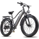 26 Zoll Elektrofahrrad 1000W  E-Bike Shimano Pedelec Fatbike 48V 20AH City eBike