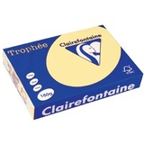 Clairefontaine Trophée A4 160 g/m2 250 Blatt gelb