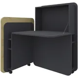 FM Helmets fm FLATup Sekretär graphit/ wildeiche rechteckig, schwarz 107,0 x 41,5 - 91,0 cm