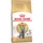 Royal Canin Adult British Shorthair 2 kg