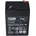 Fiam Blei Akku 6 Volt 4500 mAh 1 St