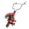 Gartenfräse Einhell GC-MT 2536