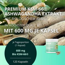 Brandl BIO Ashwagandha Kapseln 120 St.
