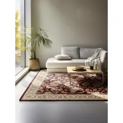 Teppich NOURISTAN "Harirud", rot, B:80cm H:8mm L:120cm, Polypropylen, Teppiche, Orient Optik, strapazierfähig, pflegeleicht, robust