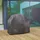 winza outdoor covers Grillabdeckung 135 x 65 x 110 cm wasserdicht grau