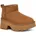 Chestnut