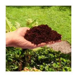 Biovita Kokosnussfaser für Pflanzen und Blumen 10 mm 5l