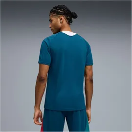 Puma Portugal Trainingsshirt blau