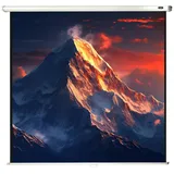 Celexon Rollo Economy 120x120 1:1