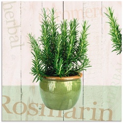 Artland Wandbild Rosmarin, Pflanzen (1 St), als Alubild, Leinwandbild, Wandaufkleber oder Poster in versch. Größen grün 40 cm x 40 cm