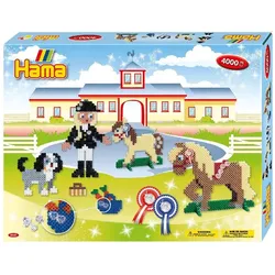 HAMA 3151 - Riding School Gift Box: Geschenkpackung Reiterhof