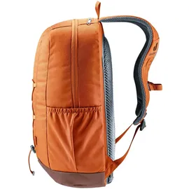 Deuter Gogo 25 l chestnut/umbra