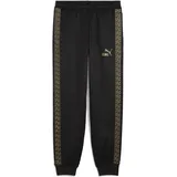 Puma King Anthem Jogginghose Schwarz XL