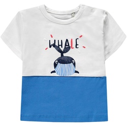 Kanz - T-Shirt Whale In White/Regatta Blue, Gr.92