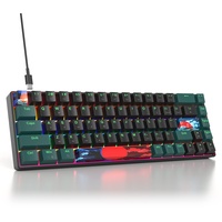SOLIDEE mechanische Gaming Tastatur 65%,68 Tasten mit Lineare rote Schalter,kabelgebundene mechanische Tastatur mit LED-Hintergrundbeleuchtung,gemischtes Licht kompakte Tastatur(68 Black-Green)