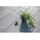 Diephaus Terrassenplatte Grandia Silber 60 x 40 x 4 cm