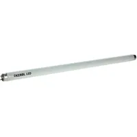 Kerbl Ersatzröhre 20 W für EcoKill Inox