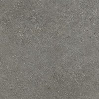 Terrassenplatte Alpen Feinsteinzeug Grau 60 cm x 60 cm