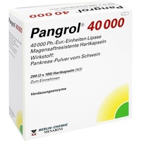 BERLIN-CHEMIE Pangrol 40000