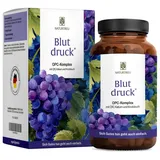 NATURTREU Blutdruck OPC Komplex Kapseln 90 St.
