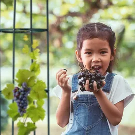 Relaxdays Obelisk 40 x 188 cm Dunkelgrün