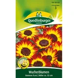 Quedlinburger Wucherblume ''German Flag''