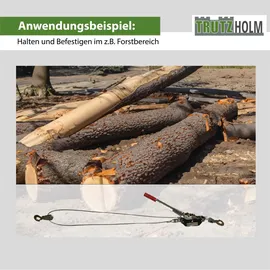 Trutzholm Seilwinde Stahl 2t silberfarben