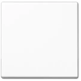 Jung Wippe aws für Taster A 590 WW