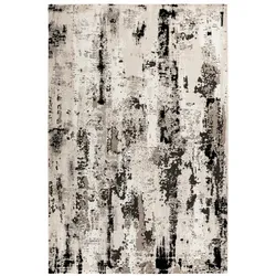 obsession Home Fashion Design-Teppich »My Phoenix«, BxL: 120 x 170 cm, rechteckig, Polyester - grau
