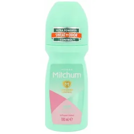 Revlon Mitchum Powder Fresh 100ml