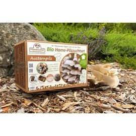 Pilzmännchen Austernpilz Bio Home-Pilzzuchtset