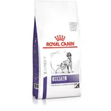Royal Canin Dental Dog Dry 13 kg