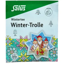 Winter-trolle Gewürztee Bio Salus Filter 15 St