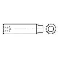 F. REYHER Nchfg. GmbH & Co. KG Gewindestift DIN 915 M 3 x 16 500 Stück
