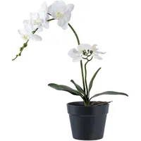 Tinkaro Orchidee, Weiß, Kunststoff, 34 cm, Dekoration, Kunstblumen