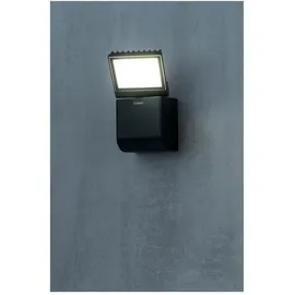 Theben theLeda S8-100L BK LED-Strahler schwarz, 4000 K, 900 lm