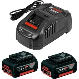 Bosch Professional Starterset 18 V Li-Ion 5,0 Ah 1600A00B8J