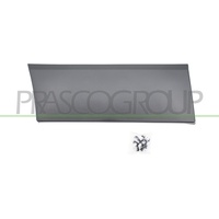 PRASCO Zier-/Schutzleiste, Kotflügel FT9001455