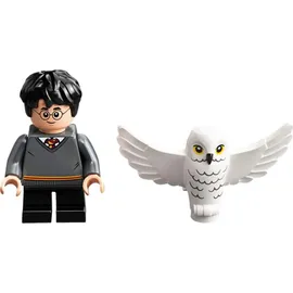 LEGO Harry Potter and Hedwig Eulenlieferung 30420