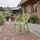 CLP Gartenstuhl Hope Sessel 59 x 59 x 80 cm grün 2 St.