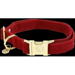 Hundehalsband Kentucky Corduroy ROT|ROT|ROT XS